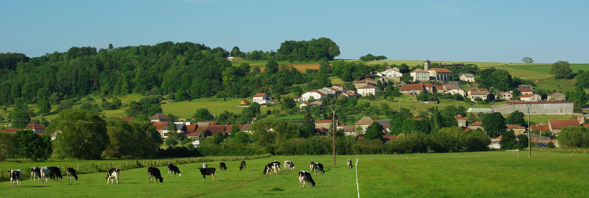 Removille, commune des Vosges