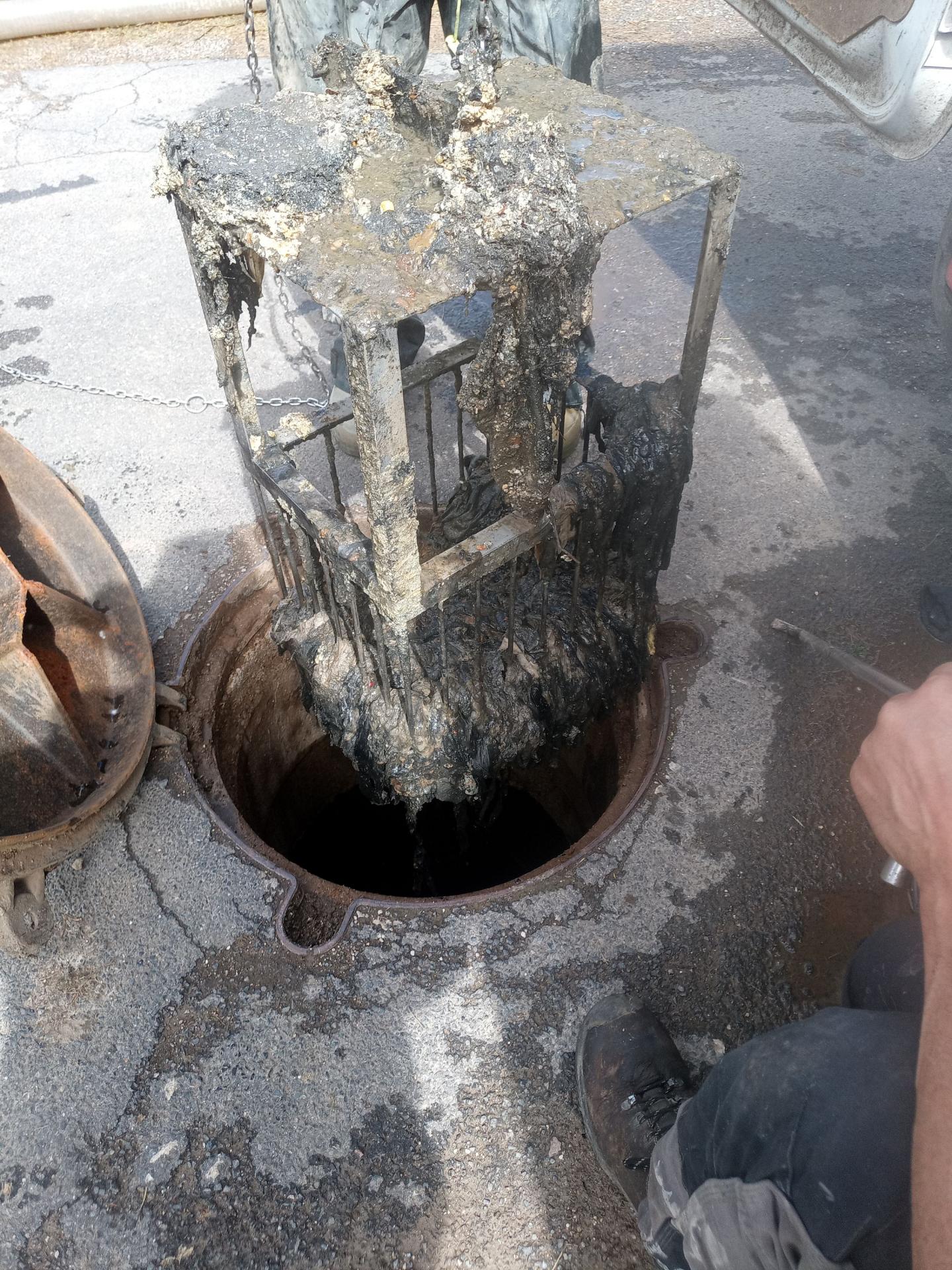 Img 20230428 150446 378